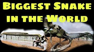 Biggest Snake in the World in world Map |Infinite Entertainment Sumit|