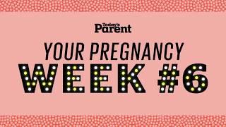 Your pregnancy: 6 weeks