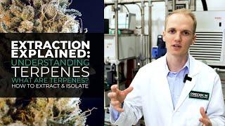 Extraction Explained: Cannabis Derived Terpenes - How to Extract and Isolate These Compounds