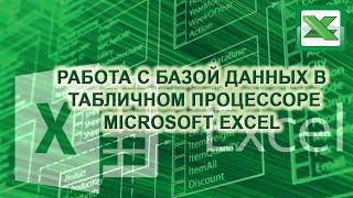 Работа с базой данных в табличном процессоре Microsoft Excel