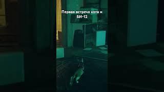 ПЕРВАЯ ВСТРЕЧА РЫЖЕГО и БИ-12 | ЛУЧШИЙ СИМУЛЯТОР КОТА #shots #игры #videogames #stray #приключения