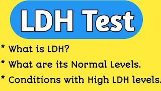 LDH Test (Lactate Dehydrogenase Test)