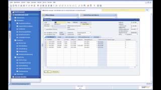 Einführung in die Immobilienwirtschaft von SAP Business One