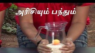 அரிசியும் பந்தும் - Tamil Science Experiment