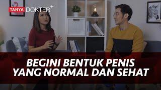 P3N1S Bengkok Saat Ereksi Bahayakah? Ini Bentuk mr.P yang Sehat dan Normal |Kata Dokter