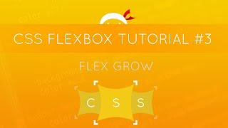 CSS Flexbox Tutorial #3 - Flex Grow