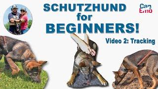 Schutzhund For Beginners: Tracking