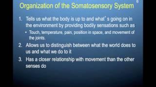 Chapter 11 part 5: The somatosensory pathways