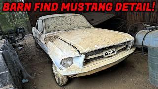 We Found The DIRTIEST Ford Mustang Sitting in a Barn....Can it be Restored?