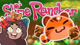 Adorable Tiger-Tabby Slimes?! ️ Slime Rancher: Secret Styles