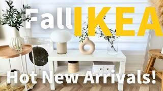 IKEA 2024/Autumn  3-Year Wait! Amazing New Shelf to Boost Storage｜Must-Have Before It Sells Out