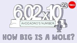 How big is a mole? (Not the animal, the other one.) - Daniel Dulek