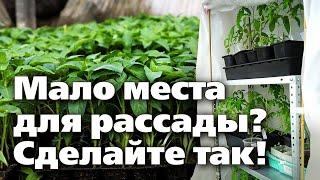 КАК ВЫРАЩИВАТЬ РАССАДУ, ЕСЛИ НЕ ХВАТАЕТ ПОДОКОННИКОВ  Опыт бывалого садовода