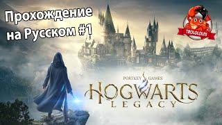 Hogwarts Legacy Хогвартс наследие прохождение на русском #1