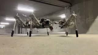 Compliant insect robot landing in slo-mo