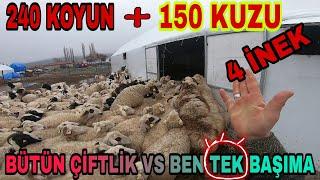 KARDEŞİMİN AYAK PARMAKLARI KIRILDI| TEK BAŞIMA BÜTÜN ÇİFTLİKLE BAŞ ETMEK