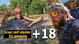 Ağdam - İLANLARI ƏLLƏRİ İLƏ TUTAN ADAM