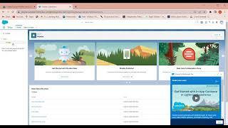 Create Custom Profiles Unit   Salesforce Trailhead