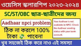 Aadhar npci not available 2023-2024 |Oasis scholarship npci problem solved|payment problem for npci