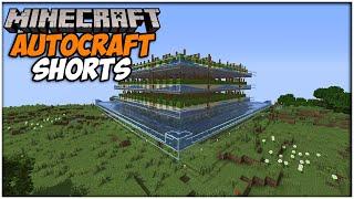 Minecraft MEGA Cactus Farm - AutoCraft SMP #Shorts