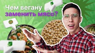 Откуда веганы берут белок? Чем заменить мясо? 7 лучших источников растительного белка