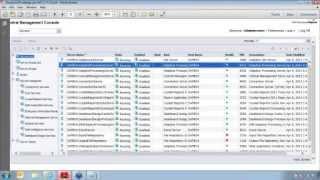 SAP BusinessObjects Best Practices: Part 1