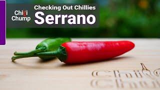 Serrano - Episode 12: Checking out Chillies with ChilliChump