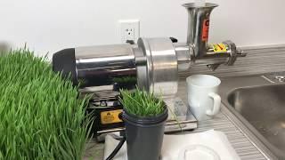 The Ultimate Wheatgrass Super Juicer & Press Samson SB0850 Unboxing