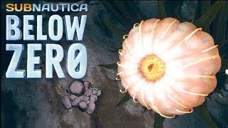 New Biome under the Lilypad Islands! Subnautica BELOW ZERO update!