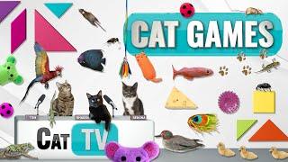 CAT Games | Ultimate Cat TV Compilation Vol 48 | 2 HOURS 