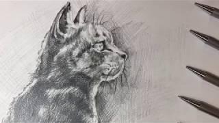 With Nicpro Mechanical Pencil- How to Draw a Cat