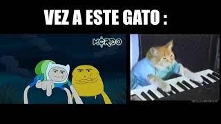 Que pro memes // Vez a este gatito 