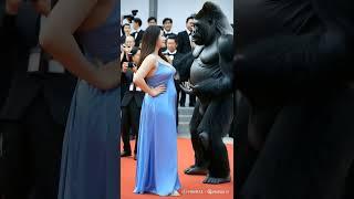 Gentle gorilla journey#viralshort #trendingshort #happy #gorilla #animallover#pregnentwomen