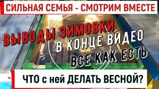 Сильные семьи весной - смотрим как есть. Весенние работы. Выводы