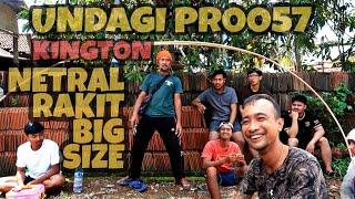 KINGTON BEBEAN BIG SIZE PERTAMA NETRAL KITE