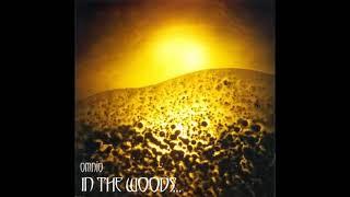 In The Woods...- Omnio (Album 1997)