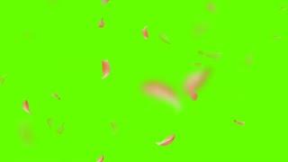 Falling flower effect | Green Screen Background | With Falling Flowers | 1 HOURS