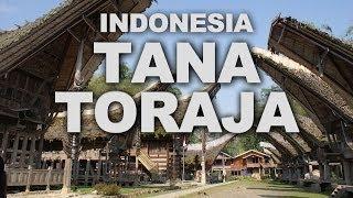 Tana Toraja: Unique Culture and Stunning Scenery