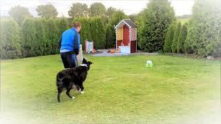 Gitterballspiel und der kleine Dieb