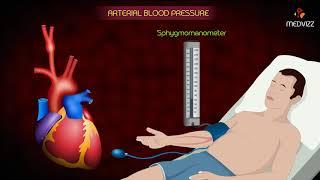 Arterial Blood Pressure Animation  - Cardiovascular physiology