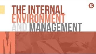 The Internal Enviornment and Management