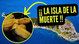 El Lugar Más Peligroso Del Mundo, ¡La Isla Serpiente!