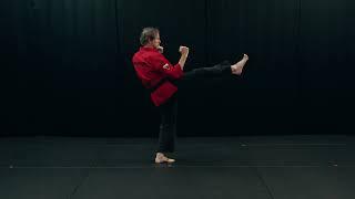 Front Kick Basics (Thrust and Snap)