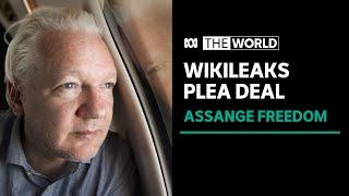 Julian Assange freed from UK prison under plea deal with US Justice Department | The World