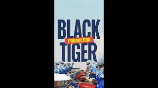 Black Tiger Shrimp Production | Monodon Black Tiger  | Jeelani Marine Products | Aquaculture