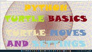 Turtle Moves and Settings | Python Turtle Basics 1