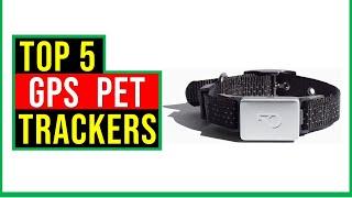 Top 5 Best GPS Pet Trackers Reviews In 2022 - How to Choose A Tracker To Keep An Eye On Your Pet?