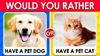  Would You Rather - Dogs and Cats Edition 