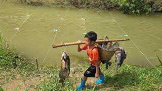 Fishing trap setting skills fish to harvest 20 kg of stream fish sale highland boy khai fishing ️️