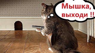 ПРИКОЛЫ С КОТАМИ! Самая смешная озвучка животных! СМЕШНЫЕ КОТЫ!